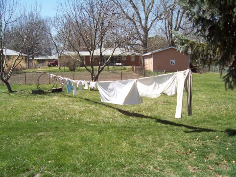 Laundry on Line