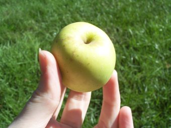 green apple