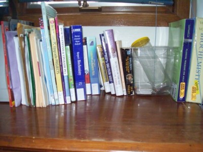 Books on my nightstand (August)