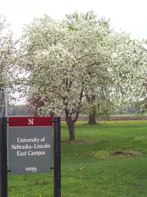 East Campus