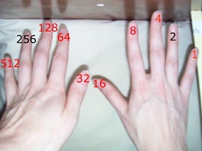 binary place values on two hands