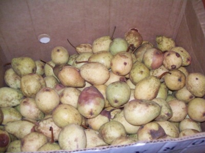Pears in a box