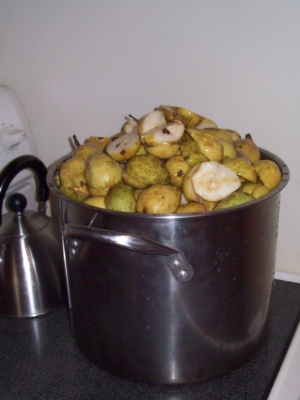 Pears on stove