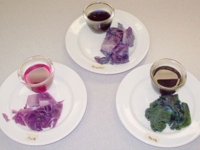 Red Cabbage at different acidity levels
