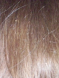 Hair Sample