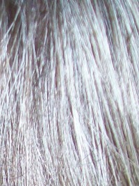 Hair Sample