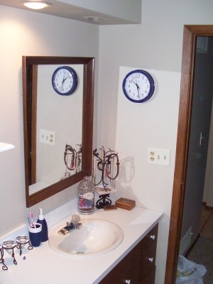 Bathroom in House of Dreams