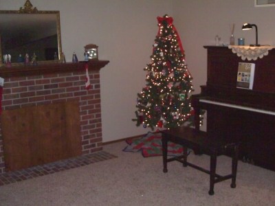 Christmas in the House of Dreams