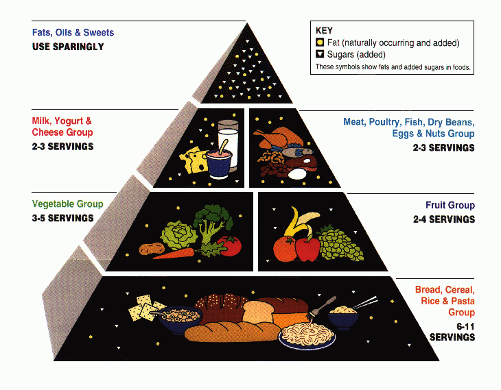Food Guide Pyramid