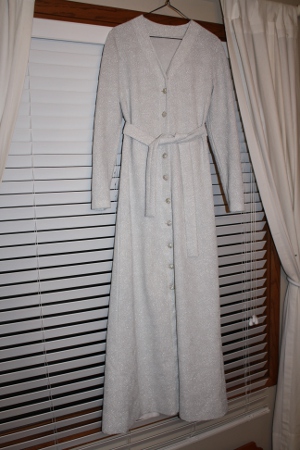 Silver Coat Dress