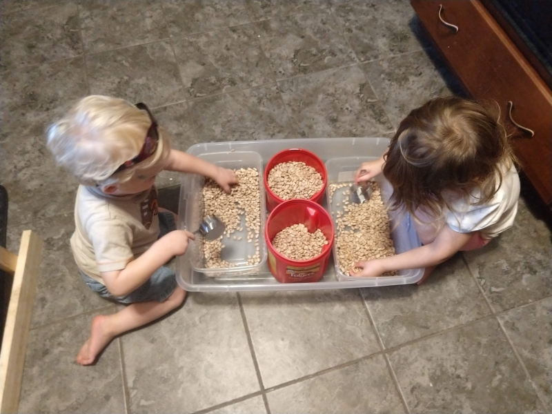 Transfering pinto beans with measuring cups