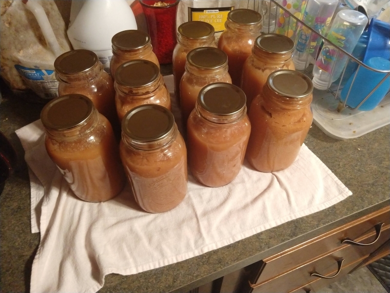 Homemade applesauce