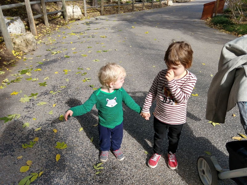 Tirzah Mae and Louis hold hands at the Zoo