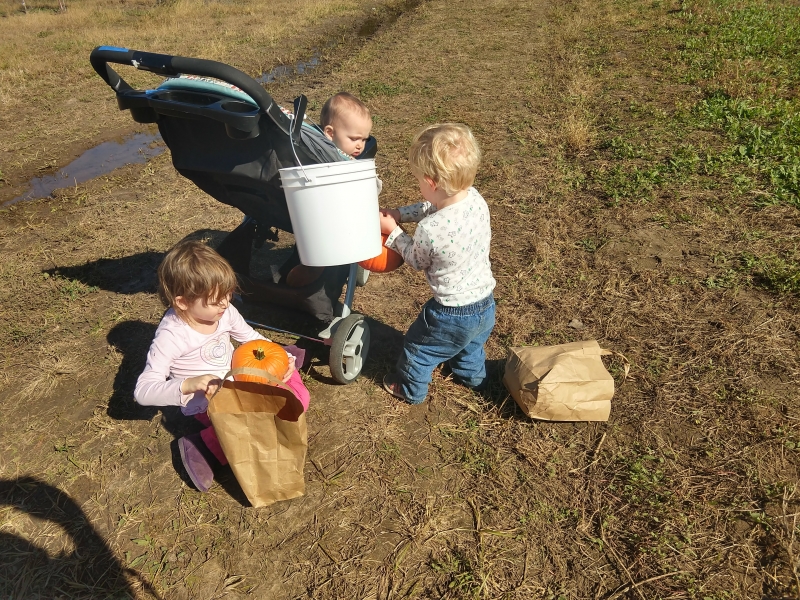 The kids and their pumpkins, sort of