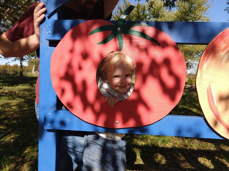 Louis as a tomato