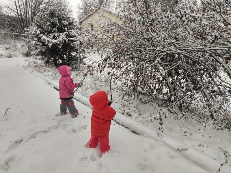 Hitting a Tree with a Stick