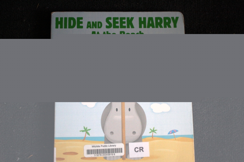 Hide and Seek Harry at the Beach